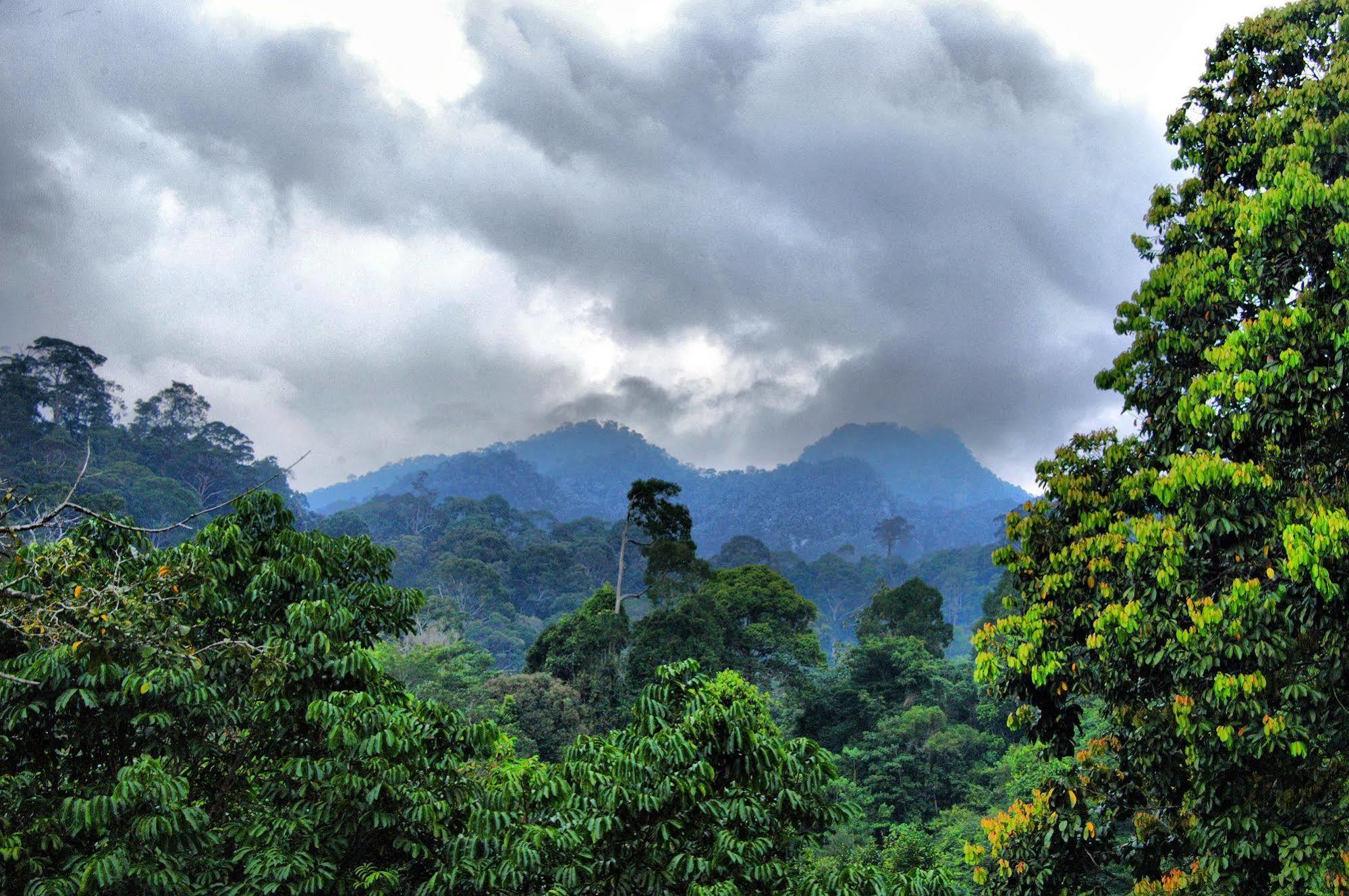 Borneo Tropical Rainforest Resort Miri Zewnętrze zdjęcie