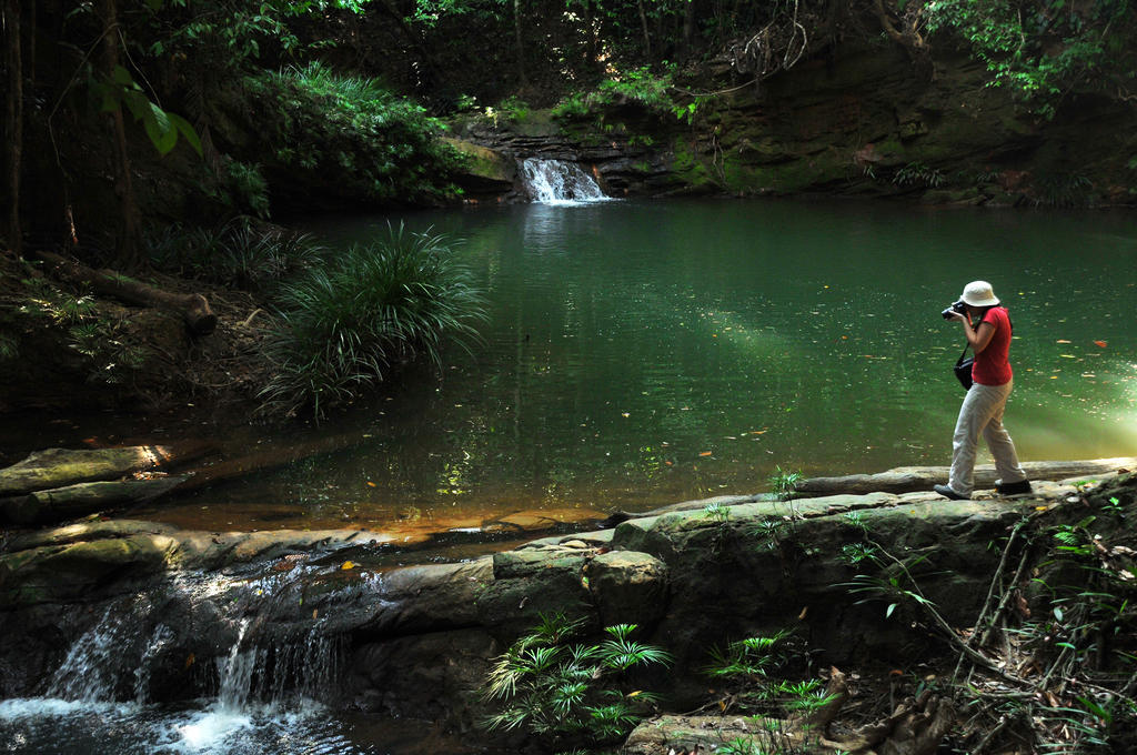 Borneo Tropical Rainforest Resort Miri Zewnętrze zdjęcie